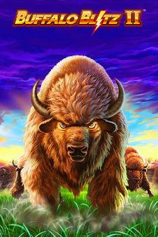 Buffalo Blitz 2